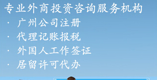 Law seagull商務代理代辦服務 專業護航，讓企業輕裝上陣